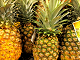 Online ananas let puslespil gratis